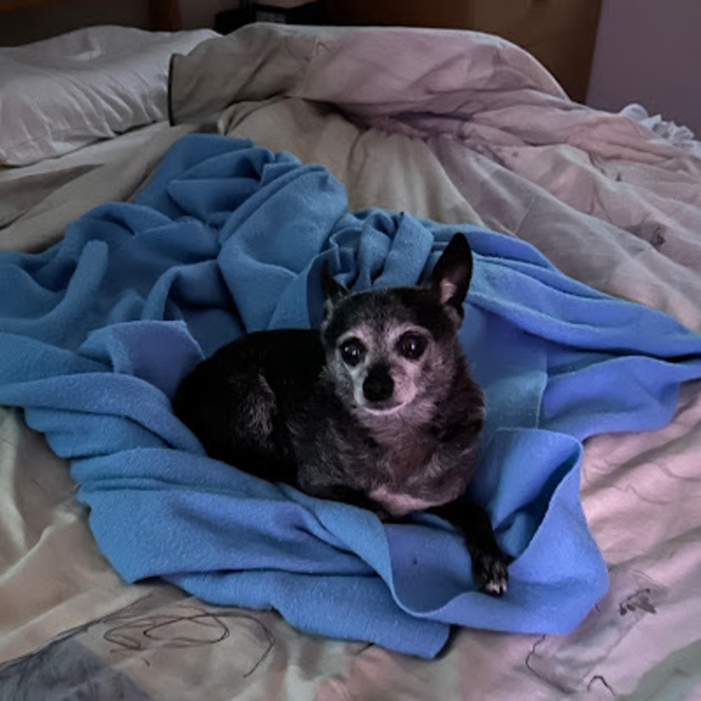 Meet your Posher, Daryl